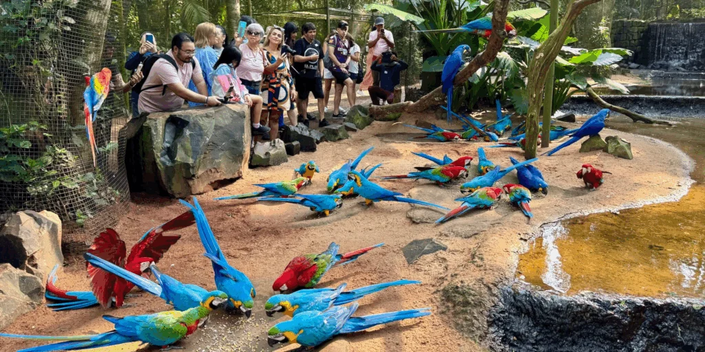 Foz do Iguaçu