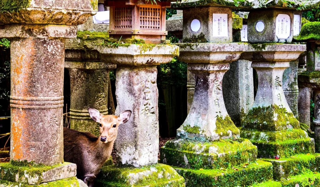 Japão