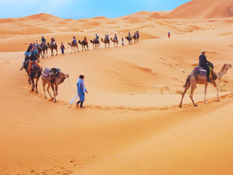 FEED-Marrocos-Marco-de-2027-2