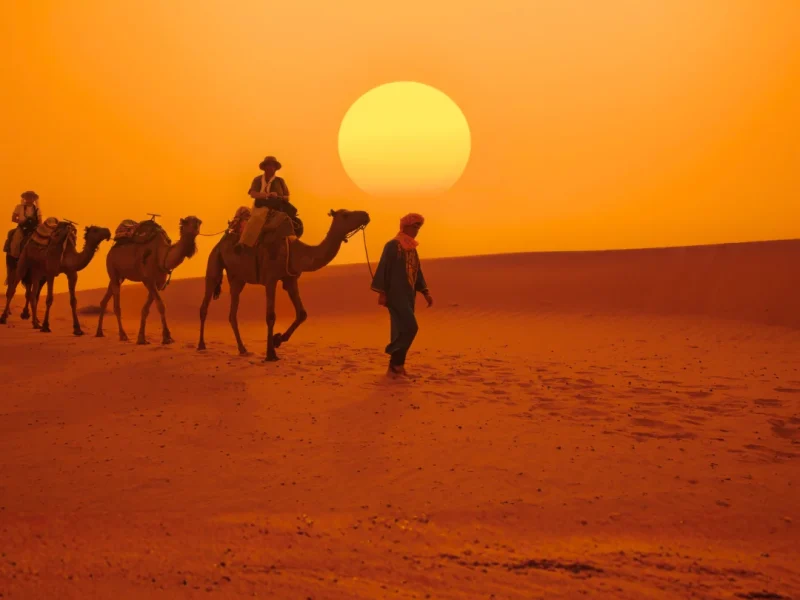 FEED-Marrocos-Marco-de-2027-3