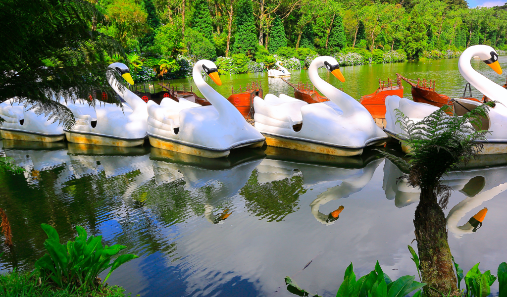 Gramado-6-1
