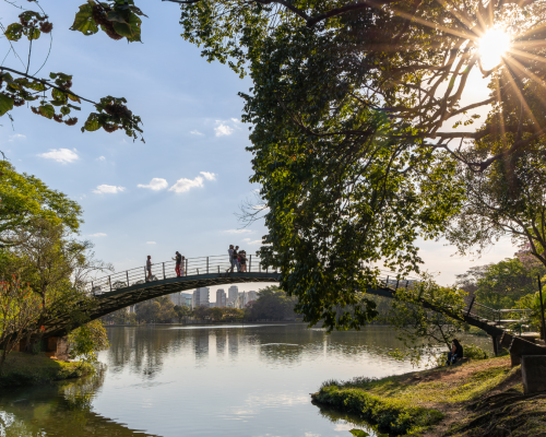 são paulo - capitral - sp - imagens 3