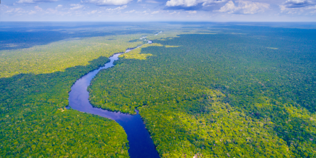 Amazônia