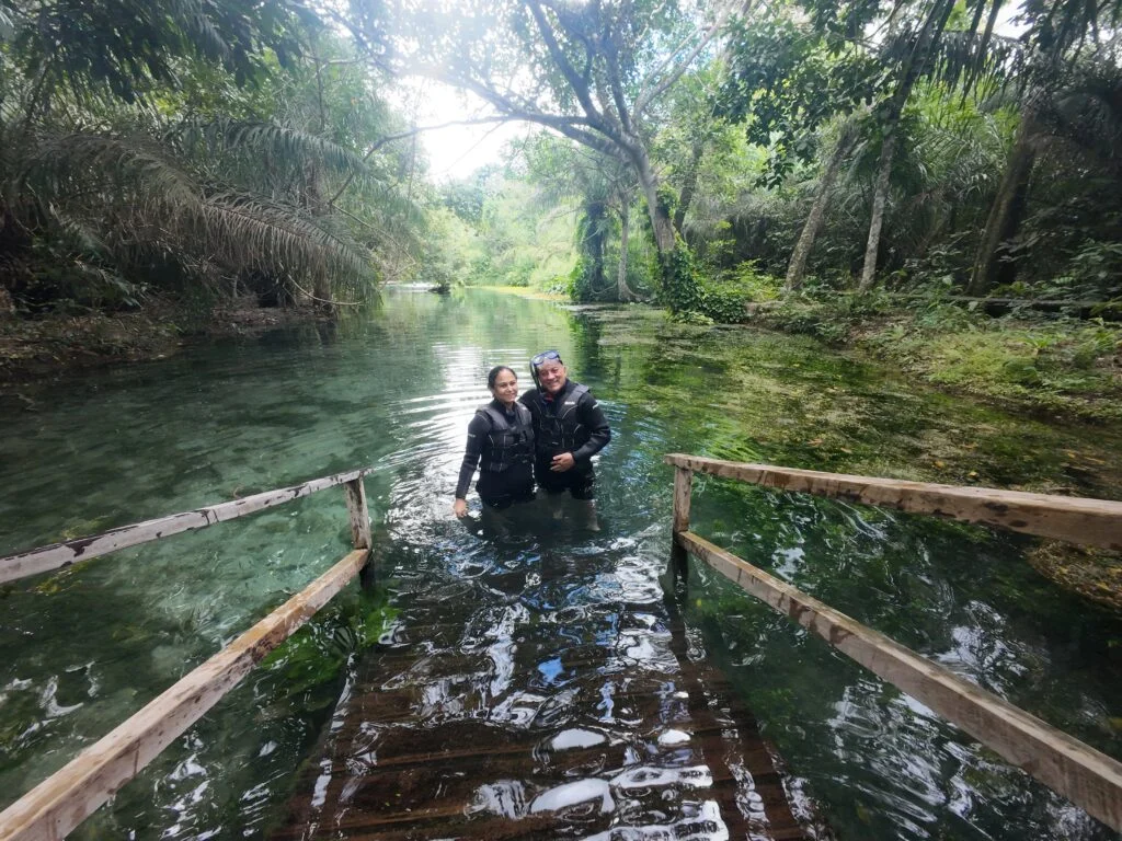 Bonito